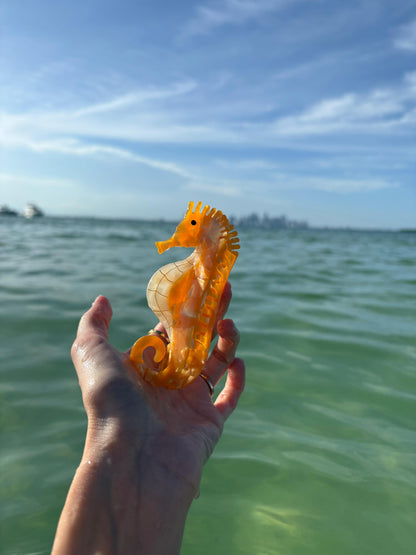 Gancho Caballito de mar